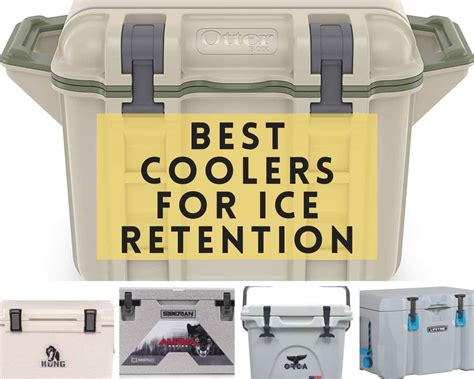 The 8 Best Coolers of 2024 